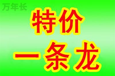 江苏省南京市鼓楼区每年墓地费用大概是多少？